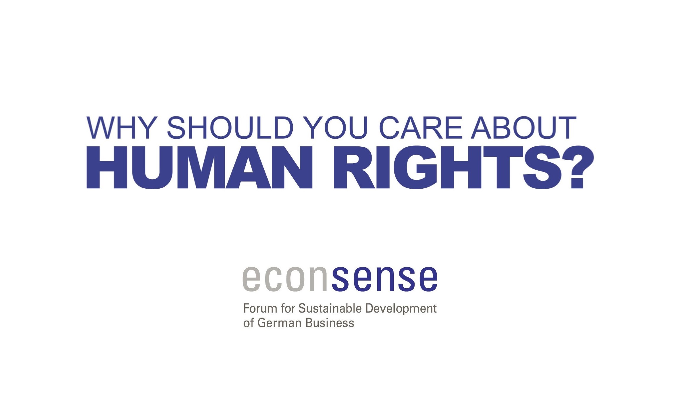 Human Rights Priorities for the Beauty and Personal Care Sector, Primers, Sustainable Business Network and Consultancy