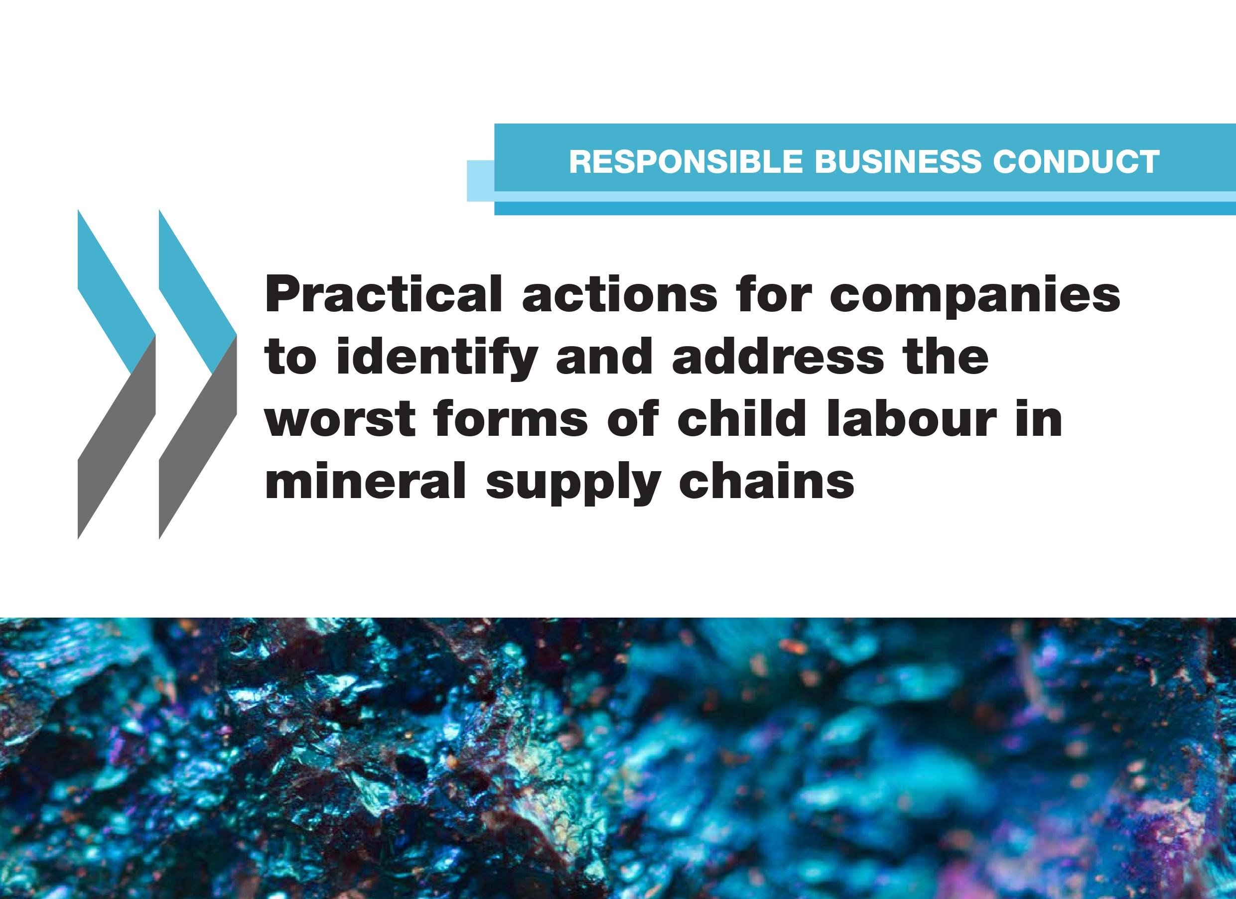 OECD Mineral Supply Chains1