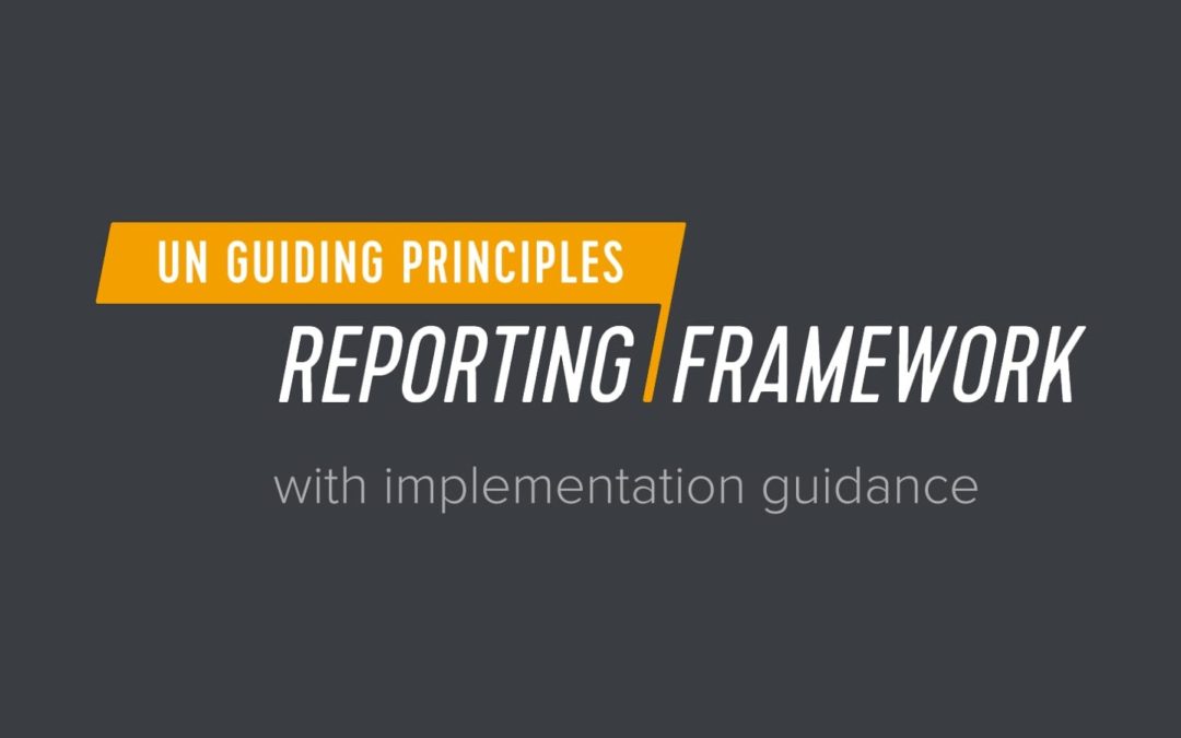 UNGP Reporting Framework