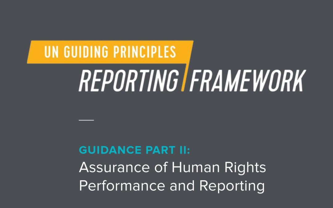 UN Guiding Principles Assurance Guidance
