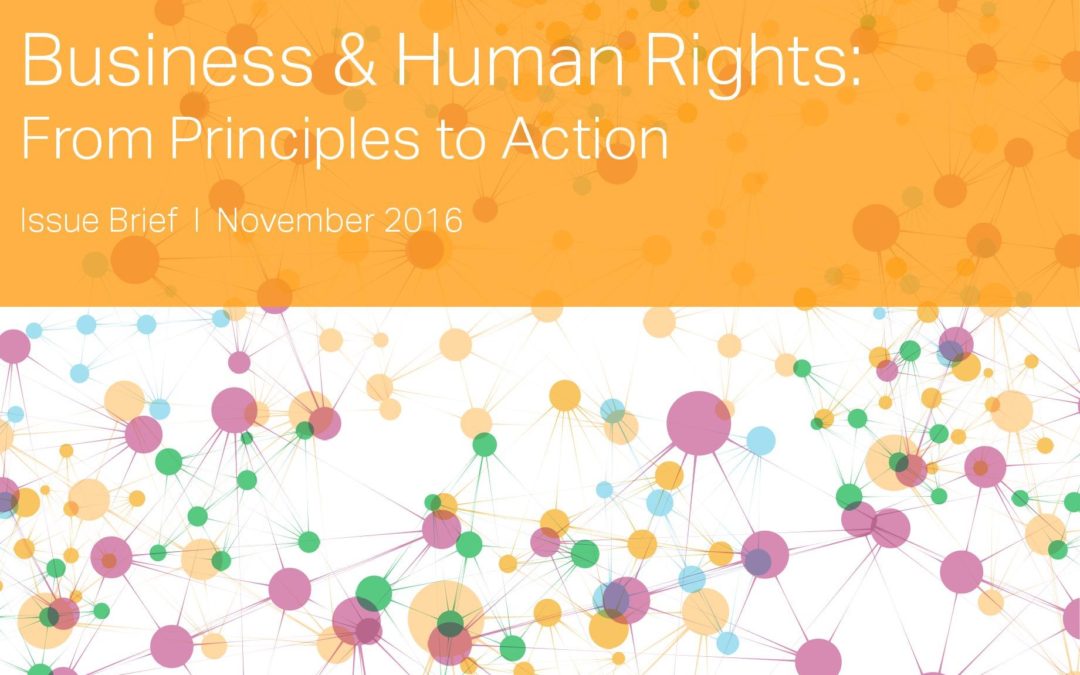 Business & Human Rights: From Principles to Action
