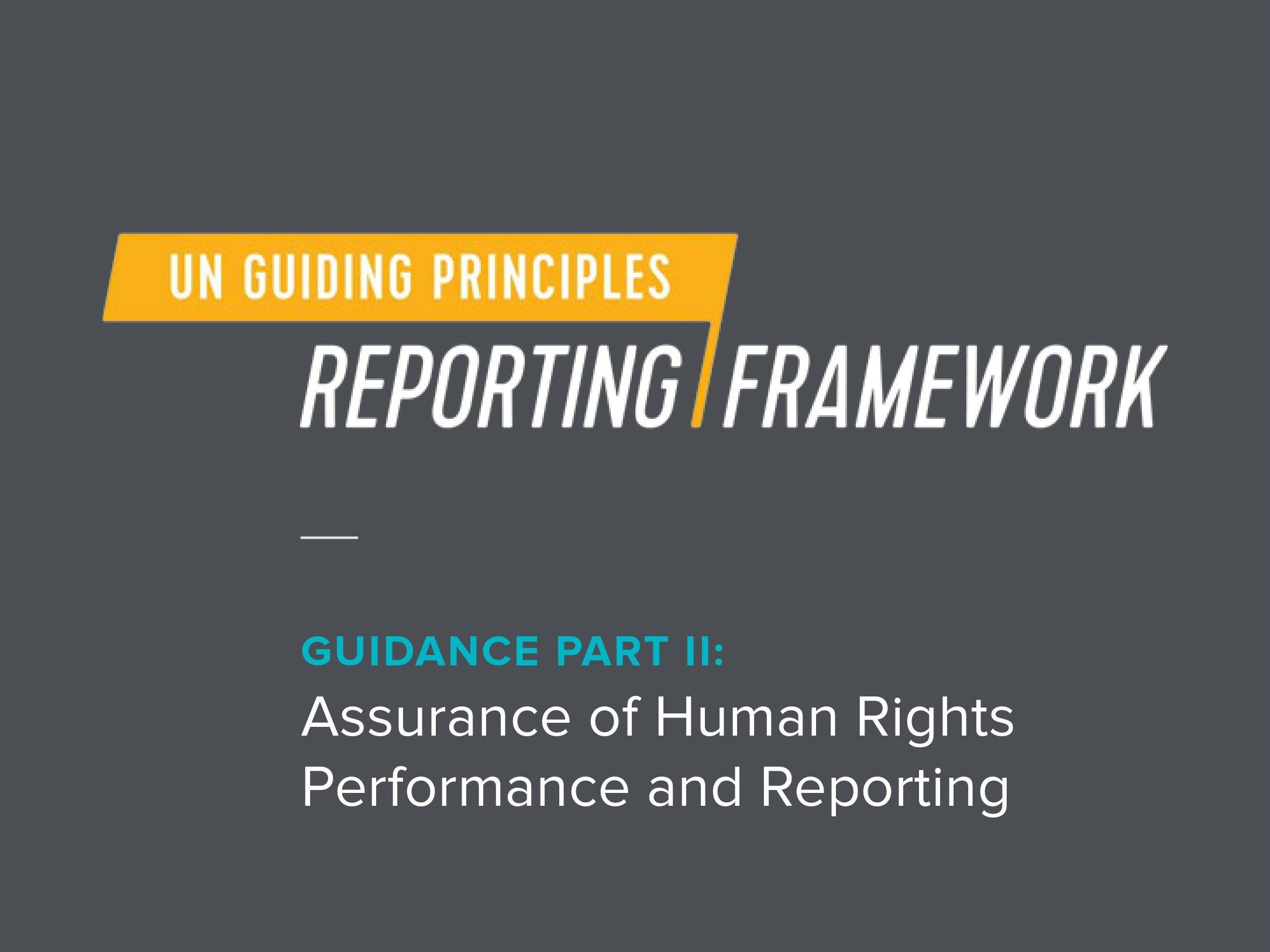 UNGPs Assurance Guidance1