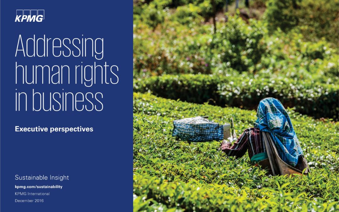 Addressing Human Rights in Business: Executive Perspectives