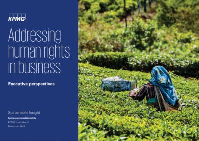 Addressing Human Rights in Business: Executive Perspectives