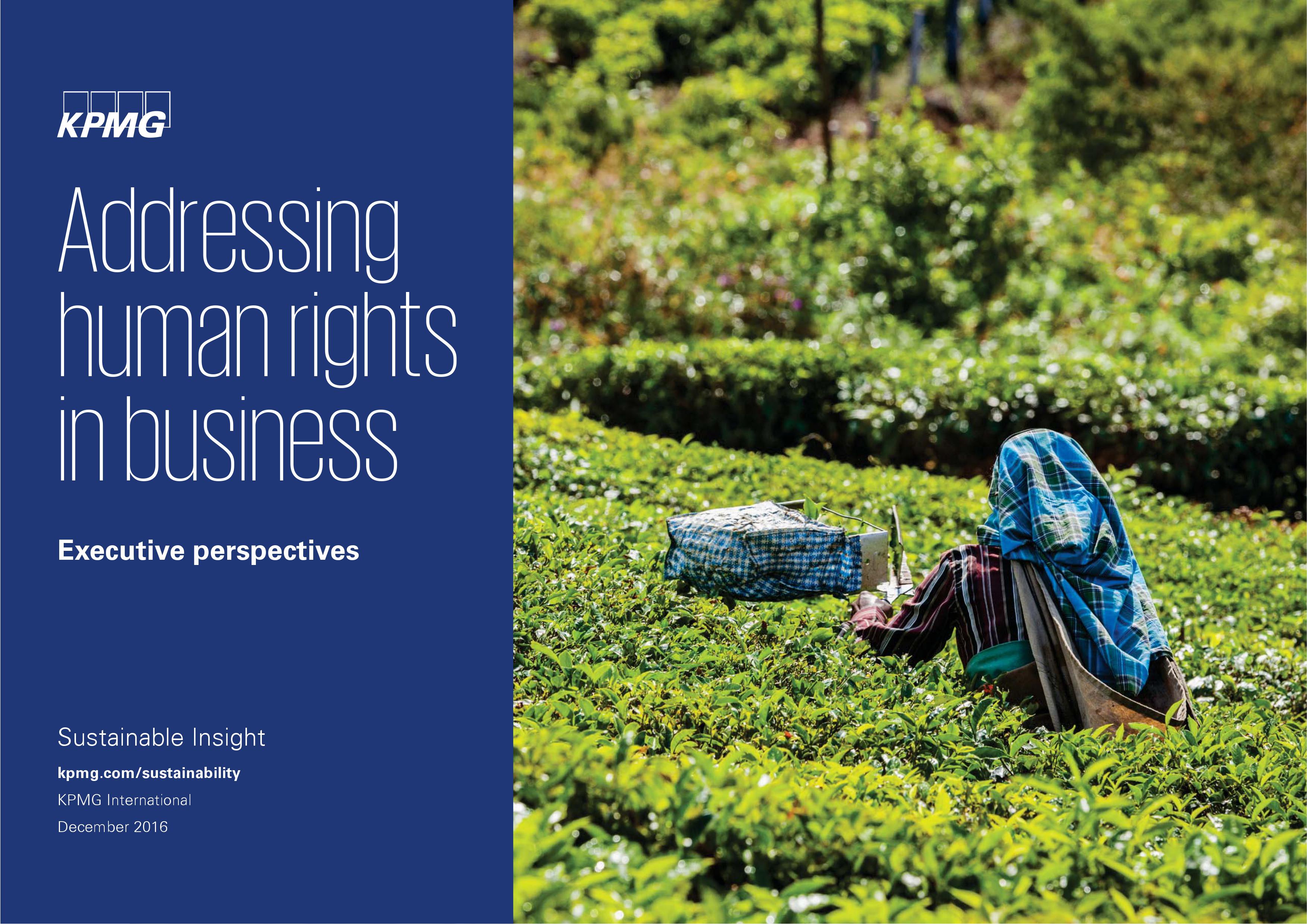 KPMG Human Rights Issues