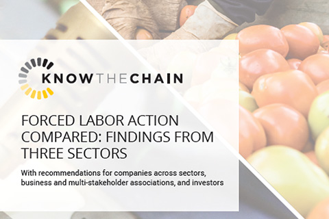 Forced Labor Action Compared: Findings from Three Sectors