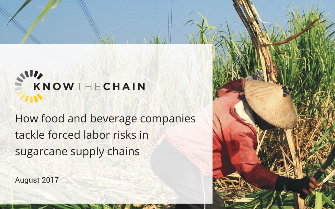 How food and beverage companies tackle forced labor risks in sugarcane supply chains