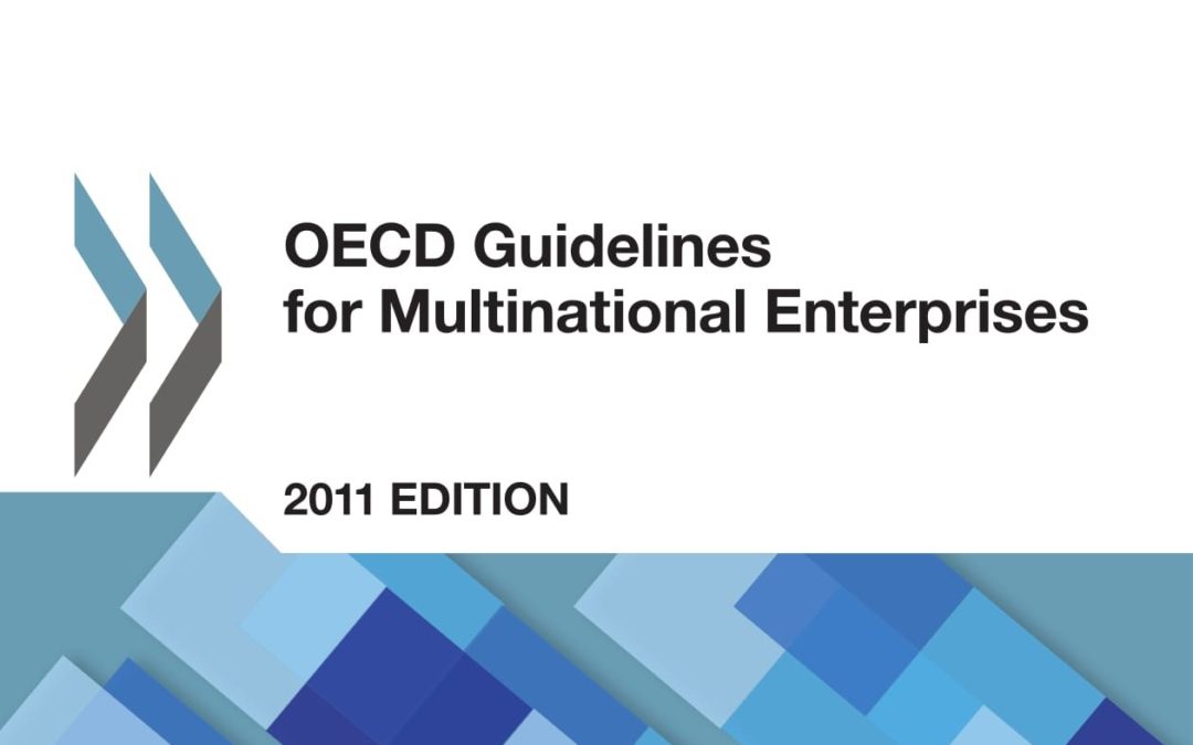 OECD Guidelines for Multinational Enterprises (2011 Update)