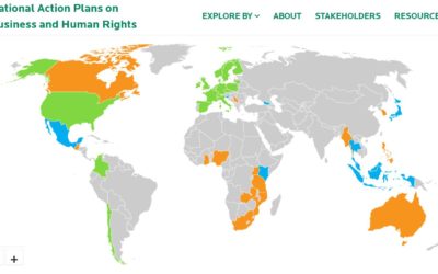 New tools in the field of National Action Plans on business and human rights