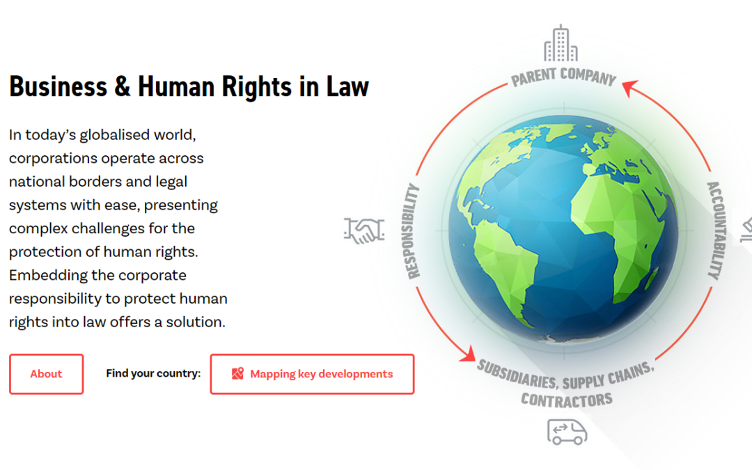 Business & Human Rights in Law