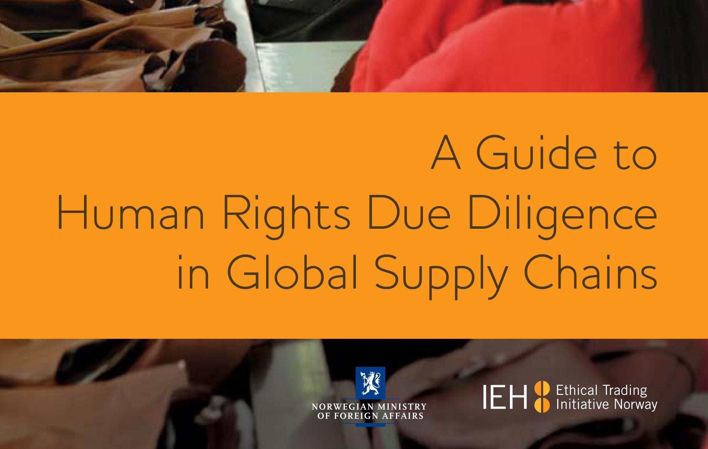 Guide to Human Rights Due Diligence in Global Supply Chains - Business ...