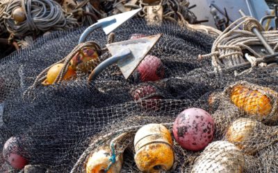 Thai seafood: are the prawns on your plate still fished by slaves?