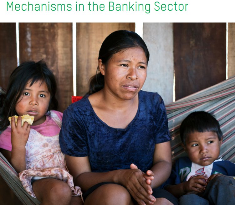 Effective Grievance Mechanisms in the Banking Sector