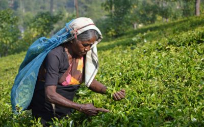 WBCSD & Shift launch report on business contribution to the SDGs