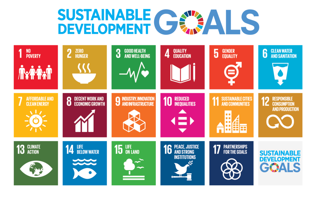 Are Big Companies Walking Their Talk on the SDGs? New report digs into the evidence