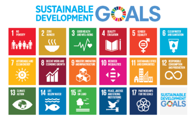 Are Big Companies Walking Their Talk on the SDGs? New report digs into the evidence