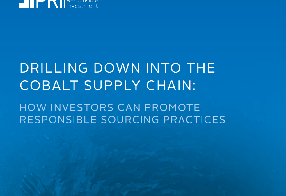 Drilling down into the cobalt supply chain