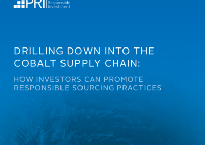 Drilling down into the cobalt supply chain