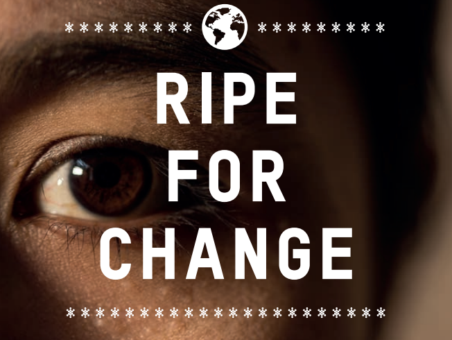 Ripe for Change – Ending Human Suffering in Supermarket Supply Chains