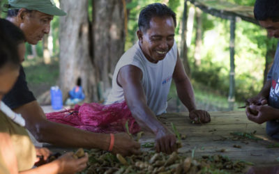 Unilever launches Human Rights Progress Report 2017