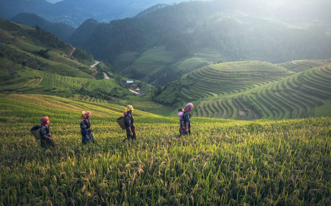 Human rights as a driver of climate action and sustainable development