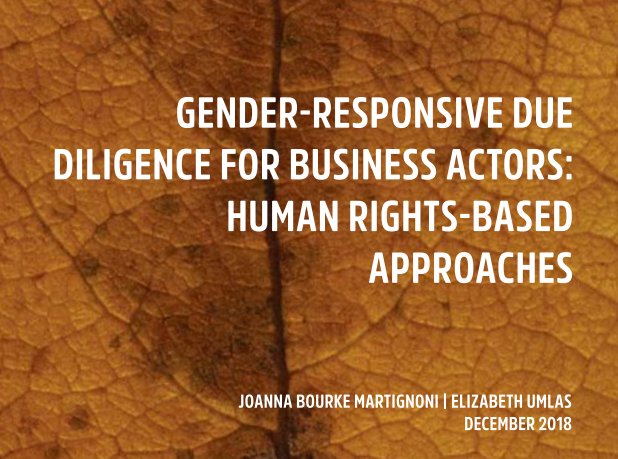 Gender-responsive due diligence for business actors: human rights-based approaches