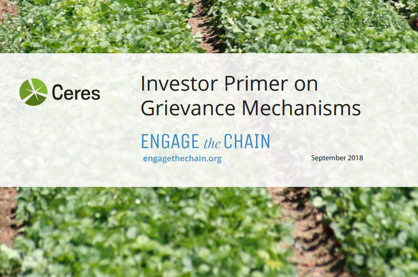 Investor Primer on Grievance Mechanisms