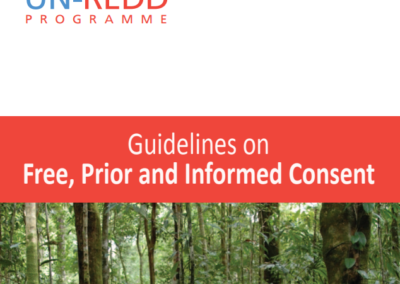 Guidelines on Free, Prior and Informed Consent