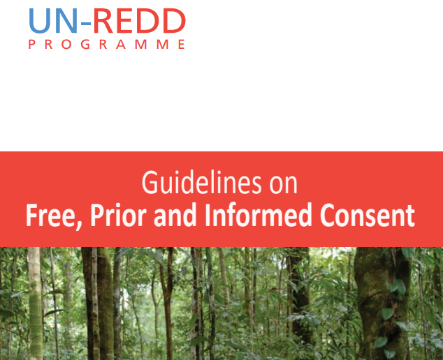 Guidelines on Free, Prior and Informed Consent