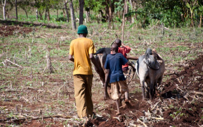 African Union Action Plan towards Eradication of Child Labour and Modern Slavery on the Continent