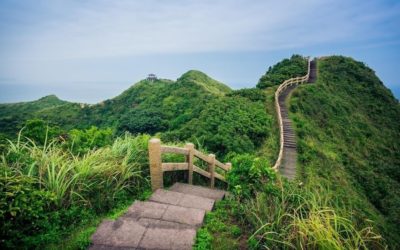 Human rights due diligence: rethinking approaches to dissent