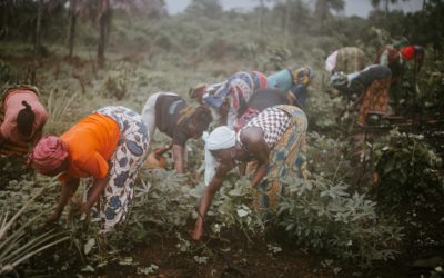 Three Sectors, Three Years Later: Progress and Gaps in the Fight Against Forced Labour