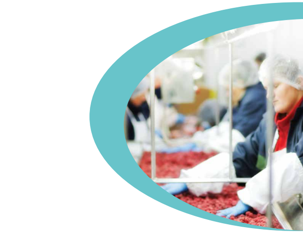 Addressing Poor Recruitment Practices in Supply Chains