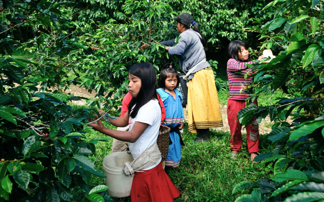 Covid-19 Pandemic Fueling Child Labor