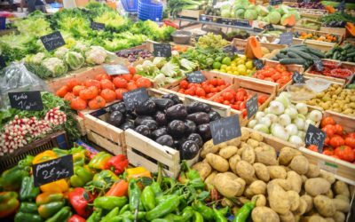 14 Free Online Tools Help Food & Beverage Companies Combat Human Trafficking