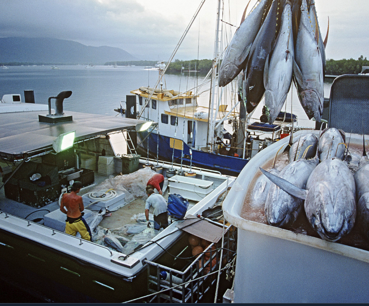 Out of Sight: Modern Slavery in Pacific Supply Chains of Canned Tuna