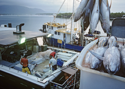 Out of Sight: Modern Slavery in Pacific Supply Chains of Canned Tuna