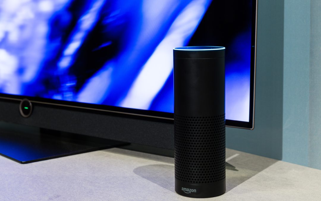 Schoolchildren in China work overnight to produce Amazon Alexa devices