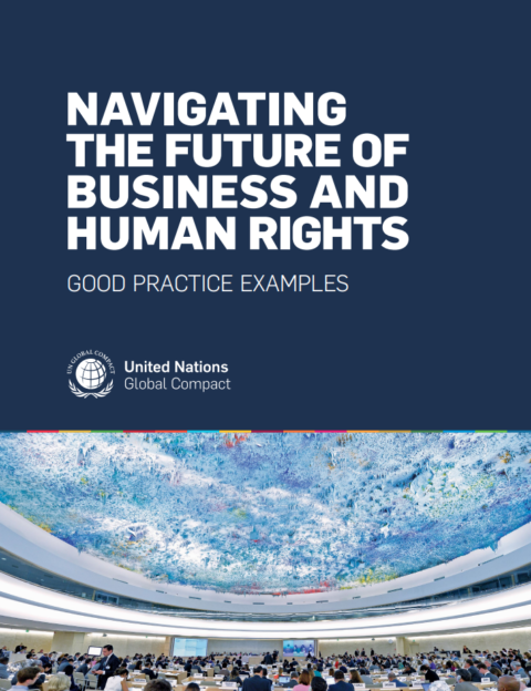 Navigating the Future of Business & Human Rights: Good Practice ...