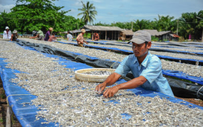 Seafood industry must walk talk