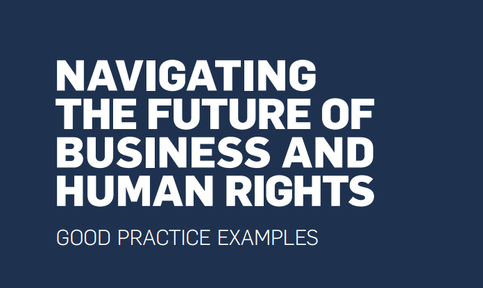 Navigating the Future of Business & Human Rights: Good Practice Examples