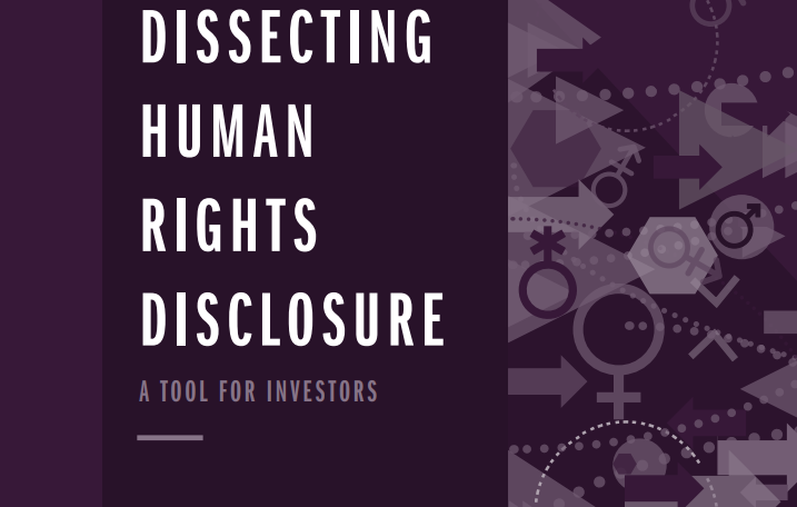 Dissecting Human Rights Disclosure: Gender