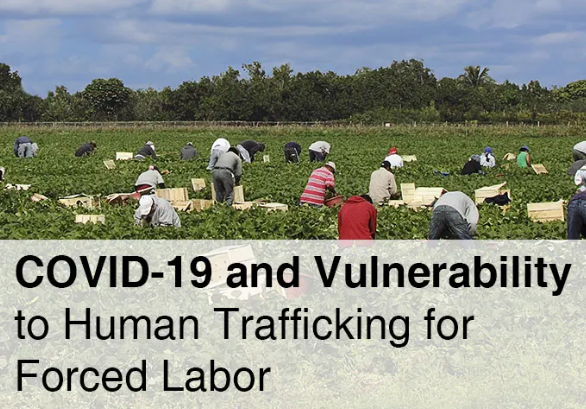 COVID-19 and Vulnerability to Human Trafficking for Forced Labor