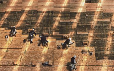 Sustainability in the time of COVID-19