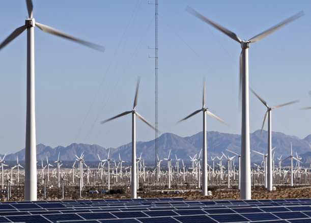 Renewable Energy & Human Rights Benchmark