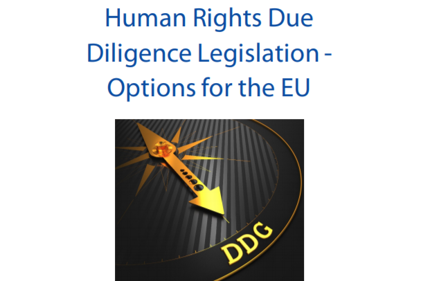 Human Rights Due Diligence Legislation – Options for the EU