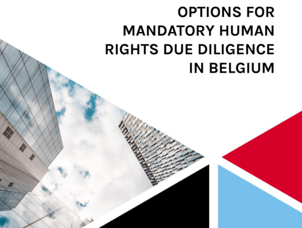 Options for mandatory human rights due diligence in Belgium