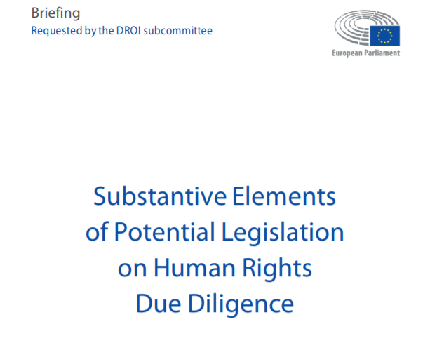Substantive Elements of Potential Legislation on Human Rights Due Diligence
