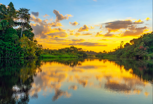 SAM Corporate Sustainability Assessment – Latin America Progress Report 2019