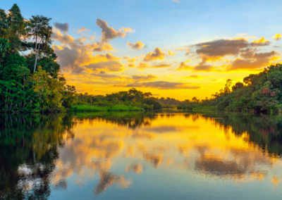 SAM Corporate Sustainability Assessment – Latin America Progress Report 2019